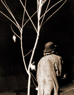 Waiting for Godot