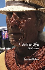 A Visit to Life cover